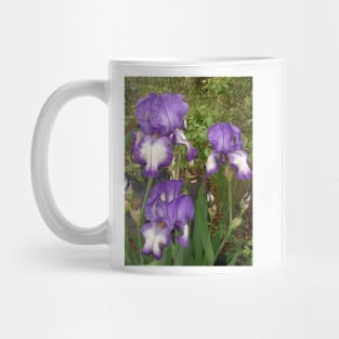 Iris Flower Purple and White Mug